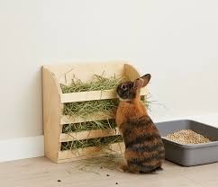 HAY RACKS: THE SIMPLE TOOL EVERY RABBIT FARMER SHOULD KNOW